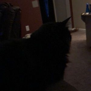 Meet your Posher, Bryan